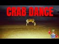 Crab Dance in real life