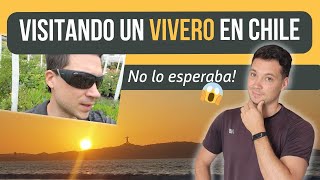 Quedé SORPRENDIDO 😱 Visito un VIVERO en CHILE por PRIMERA VEZ