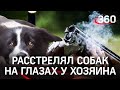 Сафари по-деревенски: убил 2 псов ради забавы