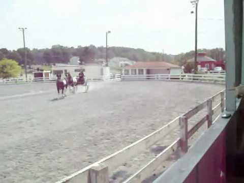Quentin Riding Club Community Day.wmv - YouTube