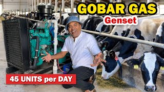 🔥மாட்டு சாணத்தில் இயங்கும் GENERATOR  || :👉Gobar Gas Genset || Sakalakala Tv || Arunai Sundar ||