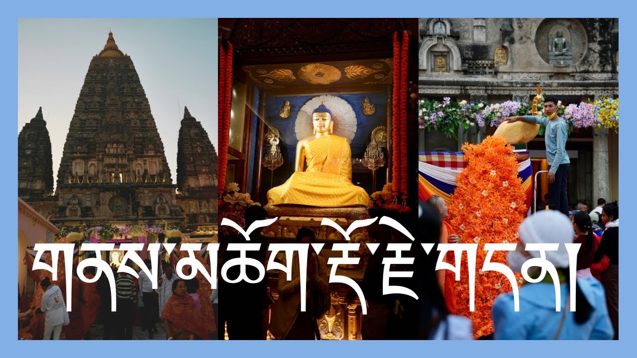 གནས་མཆོག་རྡོ་རྗེ་གདན།  Mahabodhi Temple, Bodh Gaya,1/ December/ 2024
