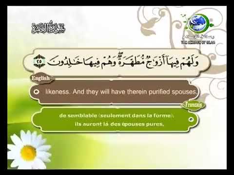 سورة البقرة بصوت القارئ الشيخ سعد الغامدي من قناة رسالة الاسلام