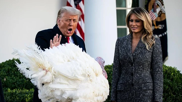 Watch live: Trump pardons Thanksgiving turkeys Waddle and Gobble