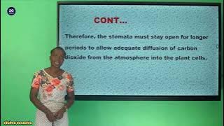 BIOLOGY FORM V GASEOUS EXCHANGE AND RESPIRATION 28 OF 59