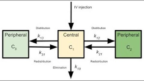 Pharmacokinetics  Part XX: Non Compartment Models: As per VCI  Syllabus 2016   Dr N B Shridhar