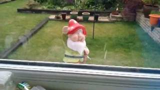 Gnome Vasion Of Peter Marks'S Garden