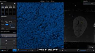 Create area scan with Invitrogen EVOS S1000 Imaging System