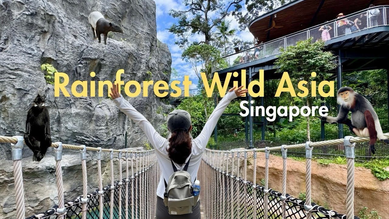 Day Out at RAINFOREST WILD ASIA 🐒 Singapore’s First Adventure Zoo 🐊 Weekend Vlog