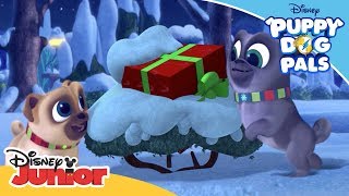 A Very Pug Christmas 🎄| Puppy Dog Pals | Disney Channel Africa screenshot 1