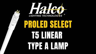 Halco ProLED Select T5 Linear Type A Lamp