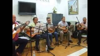 RONDALLA DE FIÑANA (2016) Viva el pasodoble