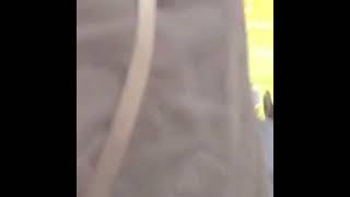 The Best Of New Shorts S Portmaitlanddolly - Best Shorts S 2023. Resimi