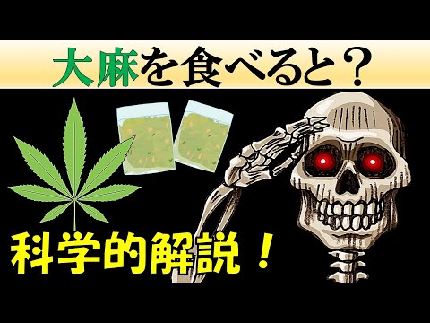 【科学】大麻を食べるとどうなる？【仕組み】