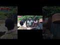 How to extract coconut oil the Nzema traditional way pure, natural, and time honored. #shorts