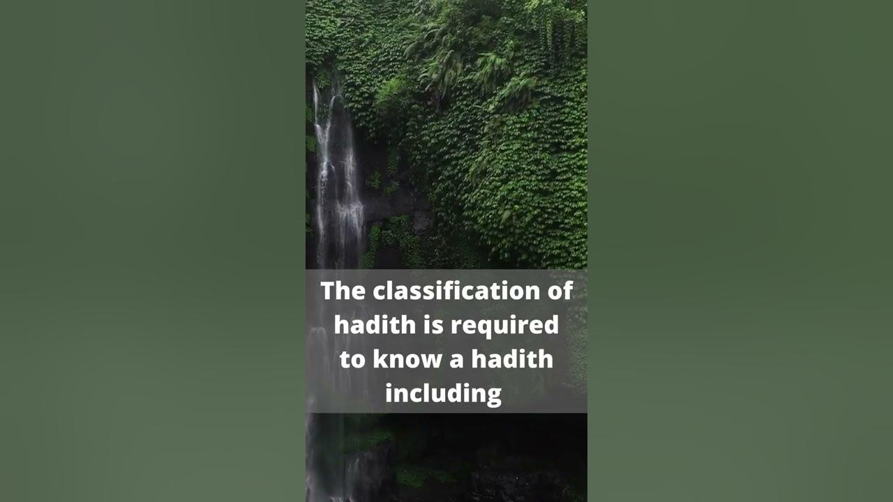 What are the 4 types of Hadith? YouTube