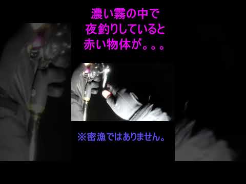濃い霧の中で夜釣りをしていたら赤い物体が．．．