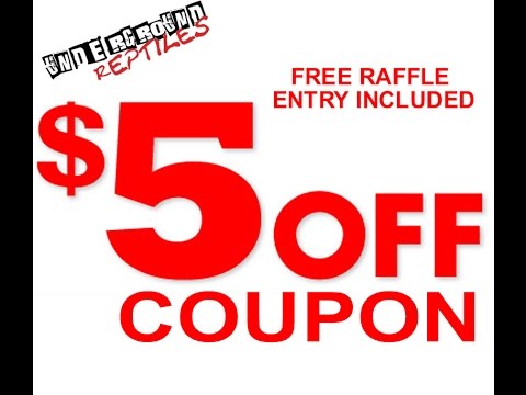 tarantula spider The New Reptile Raffle at undergroundreptiles.com