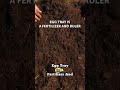Work smarter✅ not harder🚫 in the garden. 🌿 just 3 simple, satisfying, and sustainable DIY hacks.❤️📌