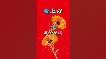 Thumbnail of 晚上好！亲，祝福平安。 #祝福 #晚安 #祝看我视频的老铁们天天好运来 #晚上好 #祝福语 #Dj#音乐分享#情歌#粉丝一千万