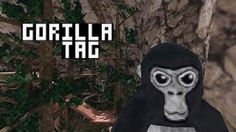 STEAM VR GORILLA TAG GAMEPLAY (yizzis camera mod)