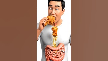 "What Happens Inside Your Body After Eating Chicken | 3D Animation Explained" #animtion #animationp