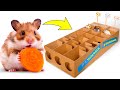 Siapakah Hamster Tercepat di Dunia? DIY Balap Hamster 🐹🥇