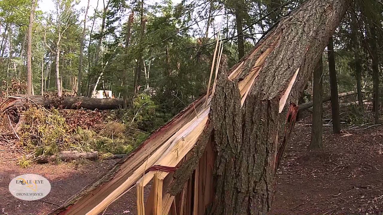 aerial silks A Skegemog Lake Residence - August 2, 2015 Storm