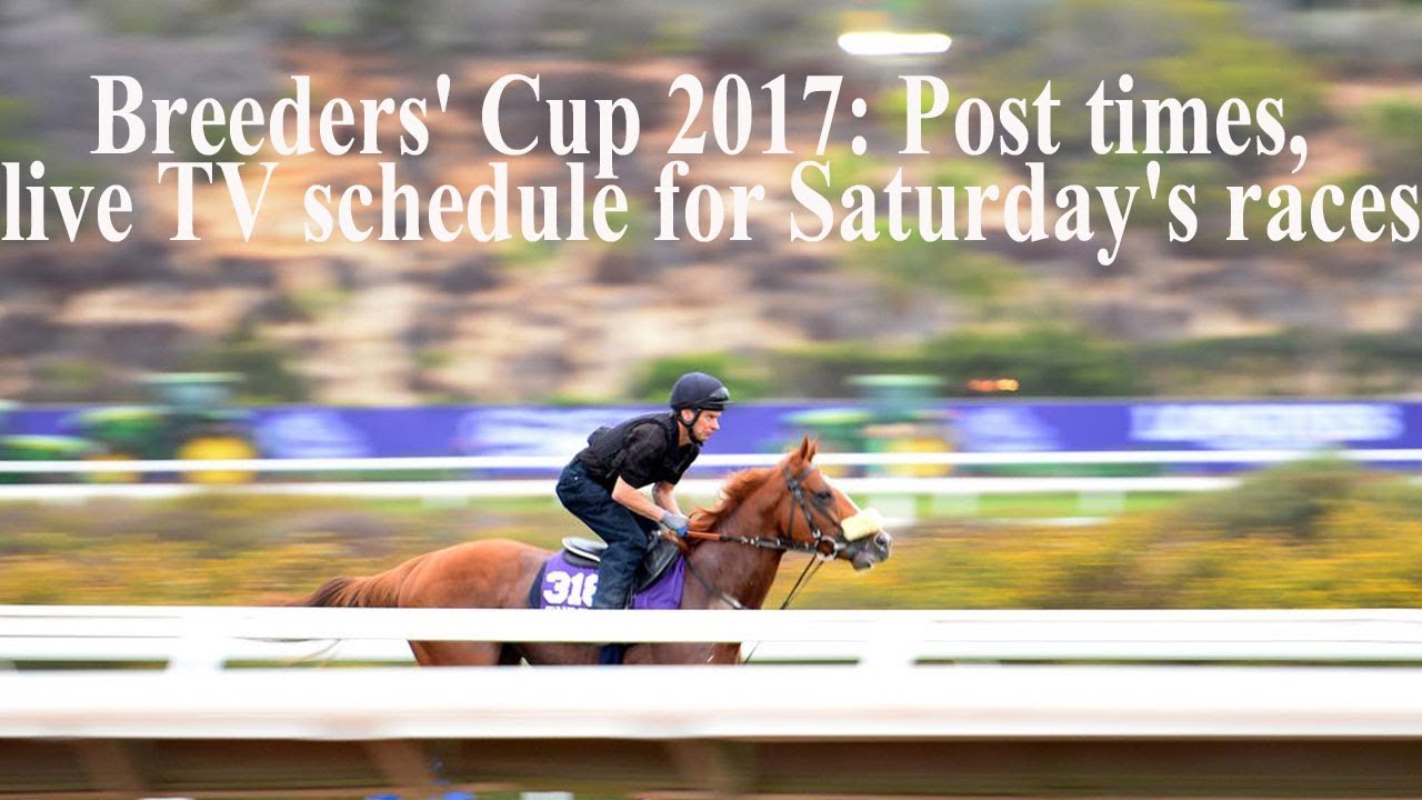 Breeders' Cup 2017: Post times, live TV schedule for Saturday's races