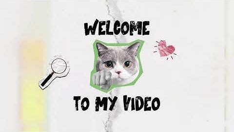 CHAPTER 4 - BEGIN YOUR ANALYSIS