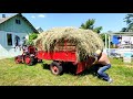 Заготовка сена. Перевозка мотоблоком и прессование в тюки.