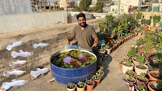 Net River Fishing 🎣  & Vishals Guppies Update 🐡