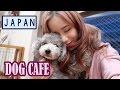 DOG CAFE IN JAPAN! | Harajuku