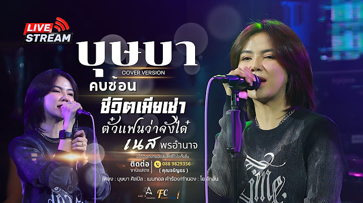 เพลงฮิตTikTok‼️ บุษบา คบซ้อน ชีวิตเมียเช่า ตั๋วแฟนว่าจังได๋ 【COVER VERSION 】: เนส พรอำนาจ