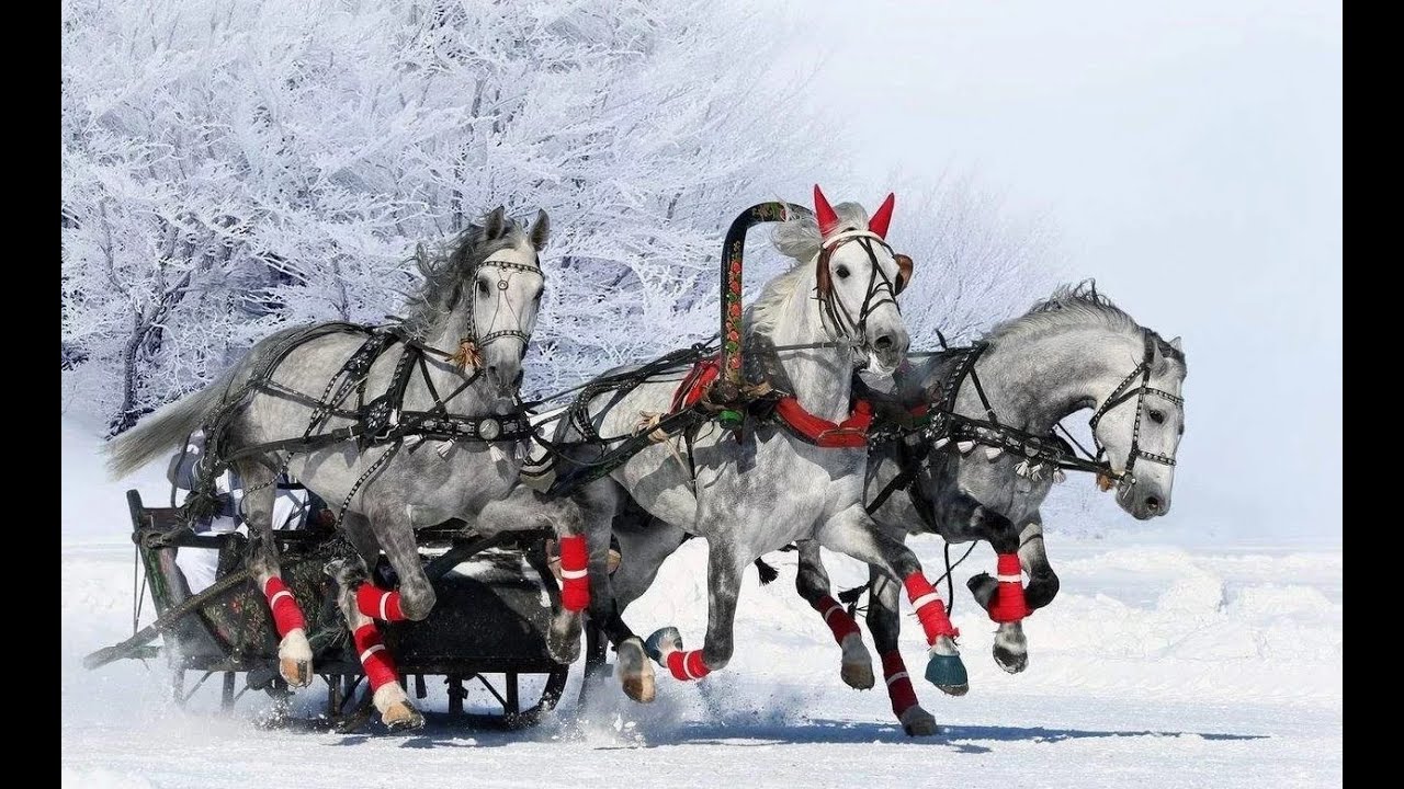 «И в подводу, и под воеводу». Мини-фильм Анны Оноприенко на V фестивале СМИ «Покровский край»