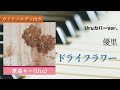 ドライフラワー / Uru(原曲:優里)【ピアノカラオケ・ガイドメロディ付】