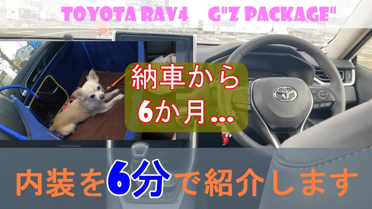 チワワ犬ペス Pes トヨタrav4 G Z Package 納車半年後の内装 Youtube