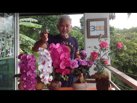 วีดีโอ: วิธีทำดอกไม้พลาสติก