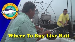 Where You Can Buy Live Bait