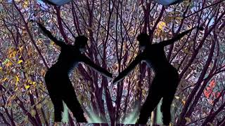 Dancing Willow