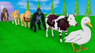 Long Slide Game With Elephant Gorilla Buffalo Hippopotamus Tiger - 3d Animal Game - Funny 3d Animals