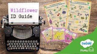 Wildflower ID Guide