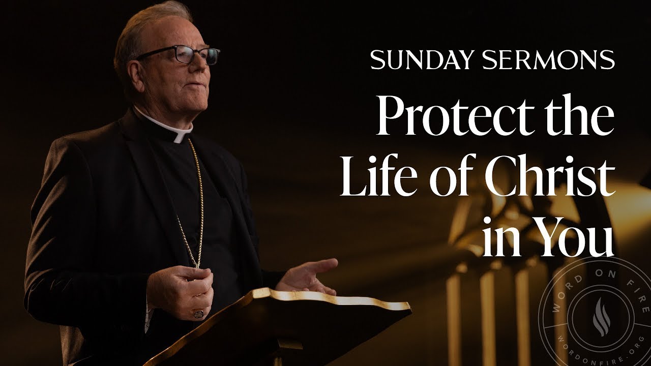Protect the Life of Christ in You - Bishop Barron’s Sunday Sermon