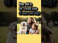 How old is friendship of dog and man? #manbestfriend #dog #egypt #iran #dogaspet #ytshorts
