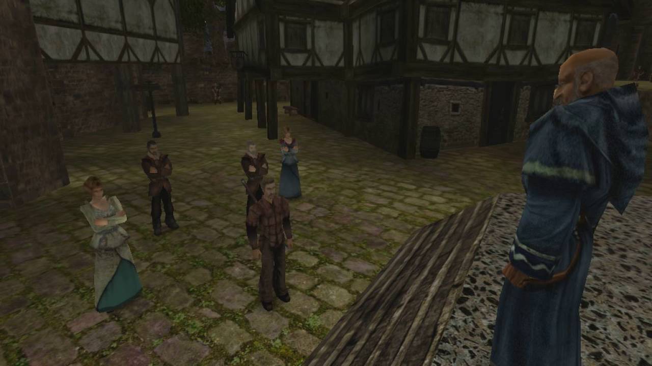 голова бладвина готика. готика 1 флетчер. фаринг готика 3. готика 1 диалог. ватрас готика 2.