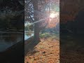 Autumn Walk by the Water - Freedom Park, Charlotte NC