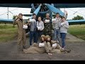 11 червня 2016 Стрибки з парашутом | DZ Цунів | free-sky.com.ua
