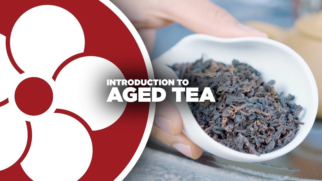 What is AGED TEA? YouTube