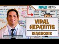 Hepatitis | Diagnosis of Viral Hepatitis