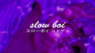 the ambientalist - missing you (slowed   reverb)【スローボイ コトゲコ】